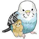 Gatitos Hermosos⓹ 20