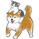 Gatitos Hermosos⓹ 24