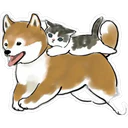 Gatitos Hermosos⓹ 8