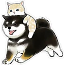 Gatitos Hermosos⓹ 15