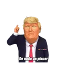DONALD TRUMP 20
