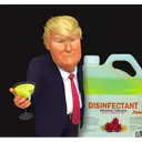 DONALD TRUMP 7