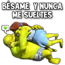BÉSAME Y NUNCA
ME SUELTES