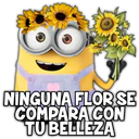 NINGUNA FLOR SE
COMPARACON
TUBELLEZA