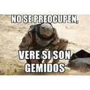 NO SE PREOCUPEN,
VERE SI SON
GEMIDOS