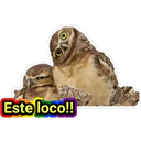 Este loco!!