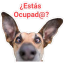 ¿Estás
Ocupad@?