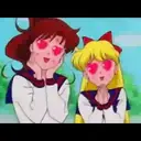 Sailor Moon Friends 14