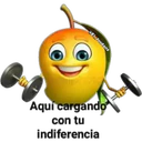 MANGOS. 15