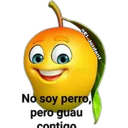 MANGOS. 13