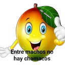 MANGOS. 18