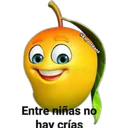 MANGOS. 24