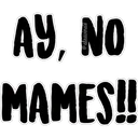 AY, NO
MAMES!!