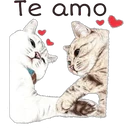 Abrázame 17