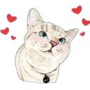 Abrázame 8