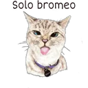 Abrázame 26