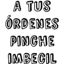 A TUS
ÓRDENES
PINCHE
IMBECIL