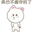 cute-kitty 11