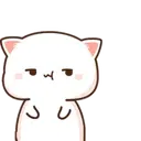 MOCHIS CAT Extra"G" MOV 25