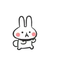 ️Crazy mini rabbit   MOV 4