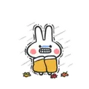 ️Crazy mini rabbit   MOV 8