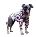 Perros Hermosos 4