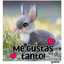 Cariñoso mensajito  ️ 13