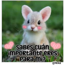 Cariñoso mensajito  ️ 12