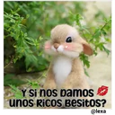 Cariñoso mensajito  ️ 8