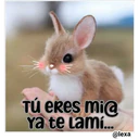 Cariñoso mensajito  ️ 11