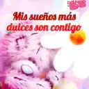 Te quiero, te amo 4 22