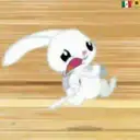 angel bunny 25