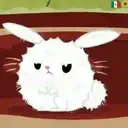 angel bunny 11