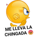 ME LLEVA LA
CHINGADA