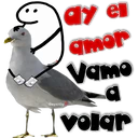 dy el
amor
Vamo
GaysiOy
GeysiOy
volar