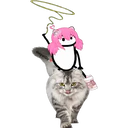 Flork sin palabras ️ 23