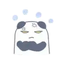 pandita 6