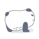 pandita 2