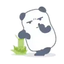 pandita 20