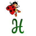 ABC CATARINA 21