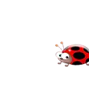 CATARINAS 7
