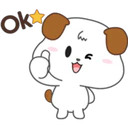 Cocopi Puppy 11