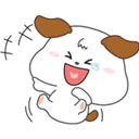 Cocopi Puppy 4