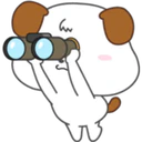 Cocopi Puppy 30