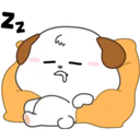 Cocopi Puppy 25