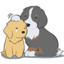 Golden Retriever Puppy 2 9