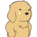 Golden Retriever Puppy 2 22