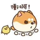 Shiba Dog✇2 Movi 10