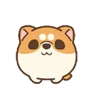 Shiba Dog✇2 Movi 16