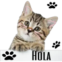 "
HOLA